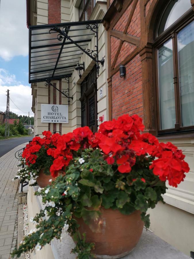 Hotel Charlotta Едлина-Здруй Экстерьер фото